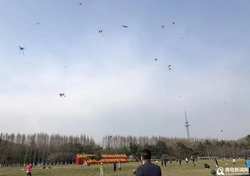 四月的青岛微风不燥,四月份的青岛什么好吃