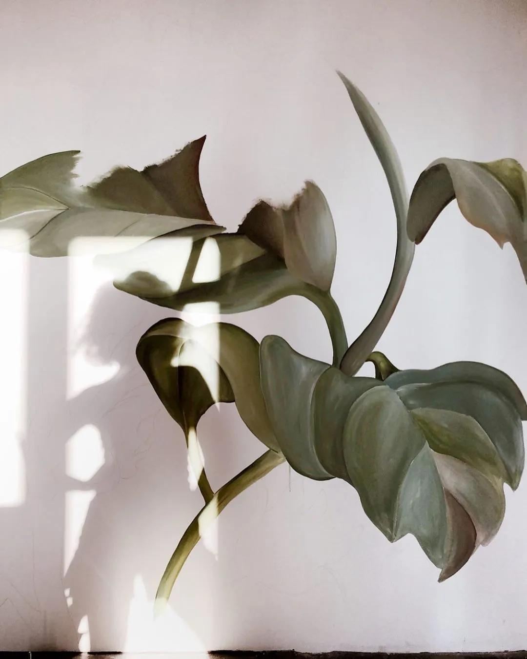 花卉墙绘,墙绘花卉色彩作品