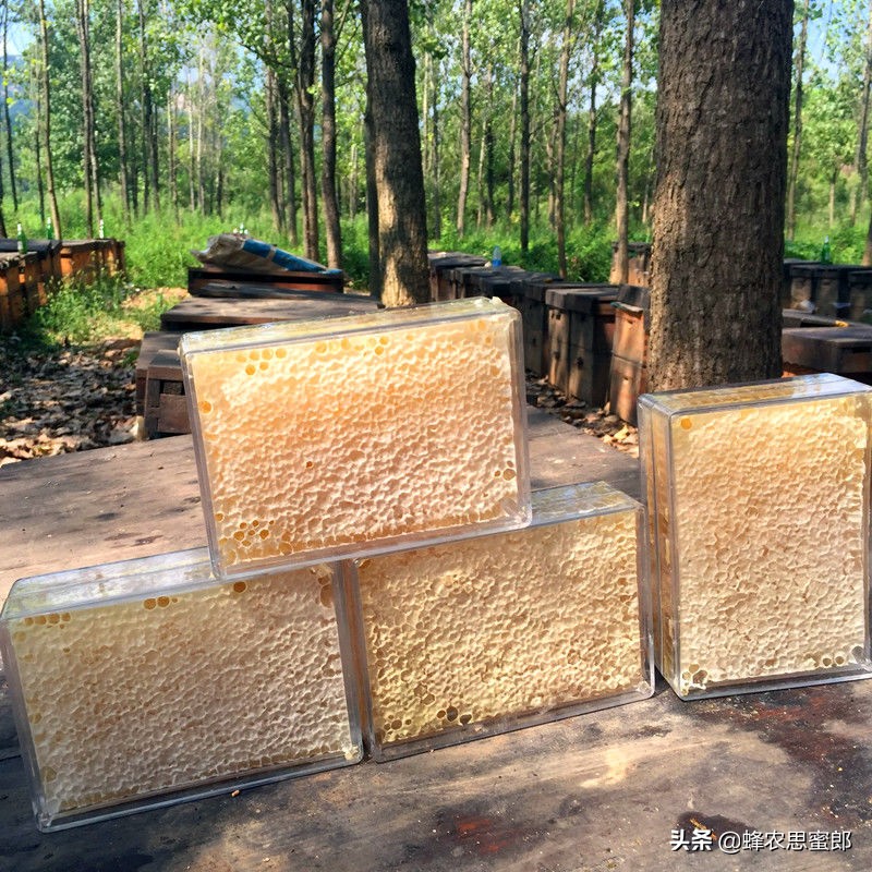 中蜂蜂蜜市场前景分析,蜂蜜行业发展前景及其风险