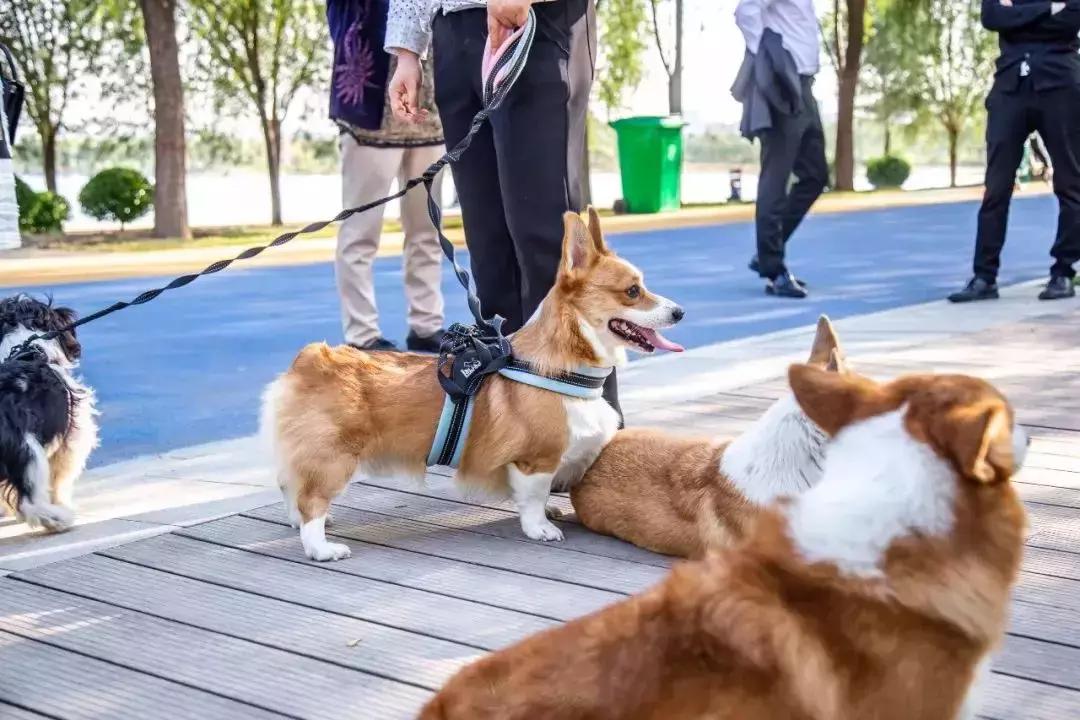郑州春天骑行的好地方,郑州运动类游玩地