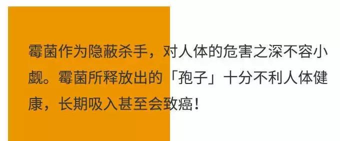 「服务」回南天如何让讨厌的霉菌滚蛋？小卡君教你一招