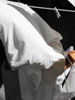 小苏打万能用法农业,小苏打使用的10种小妙招