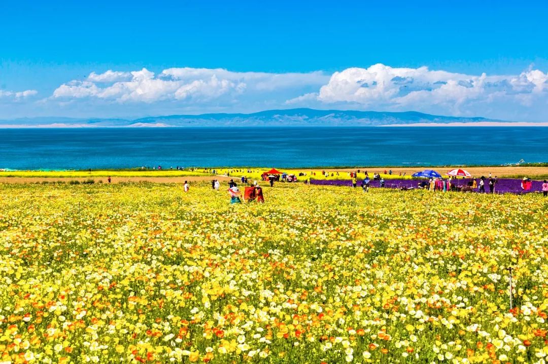 青海旅游攻略景点必去,一生一定要去一次青海吗
