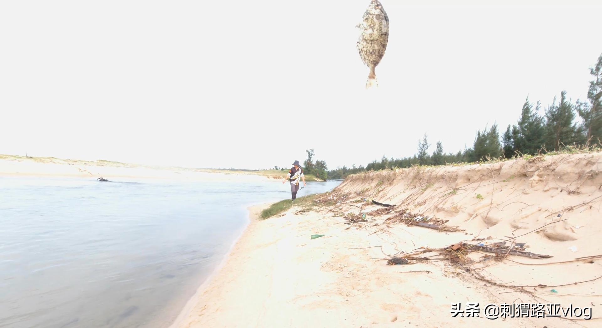 路亚钓海鱼视频,路亚钓鱼近岸小范围作钓攻略