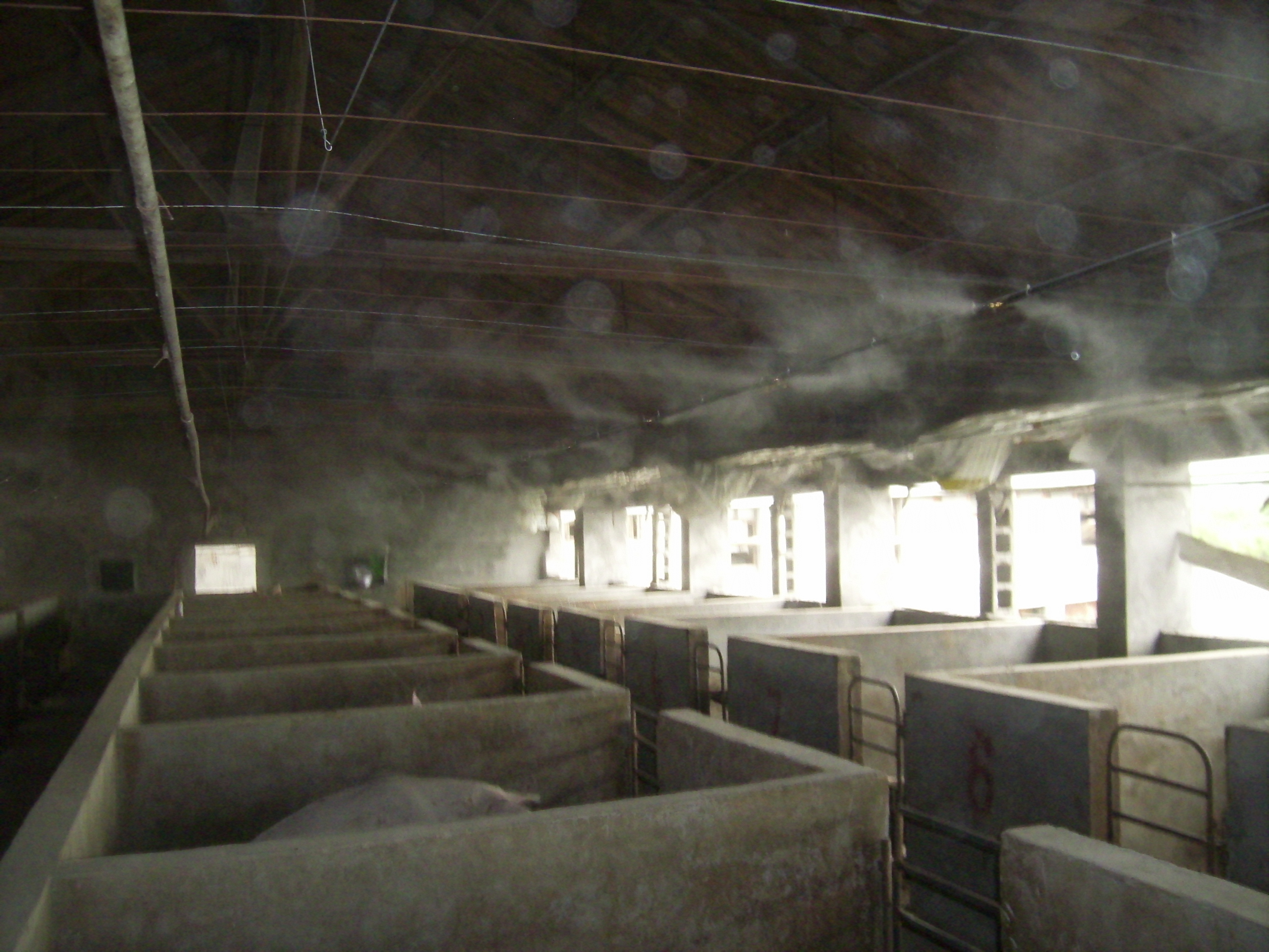 雾森系统高压喷雾设备怎么选,高压雾森系统安装人工费