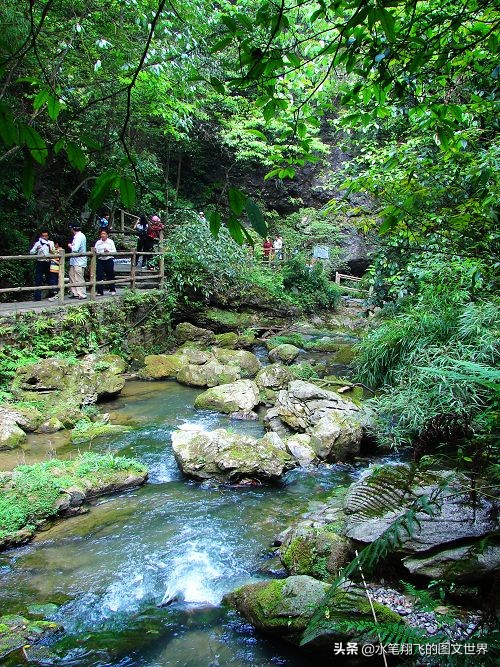 黑山谷深度洗肺,重庆黑山谷游记