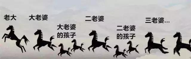 非洲斑马，食草动物界扛把子