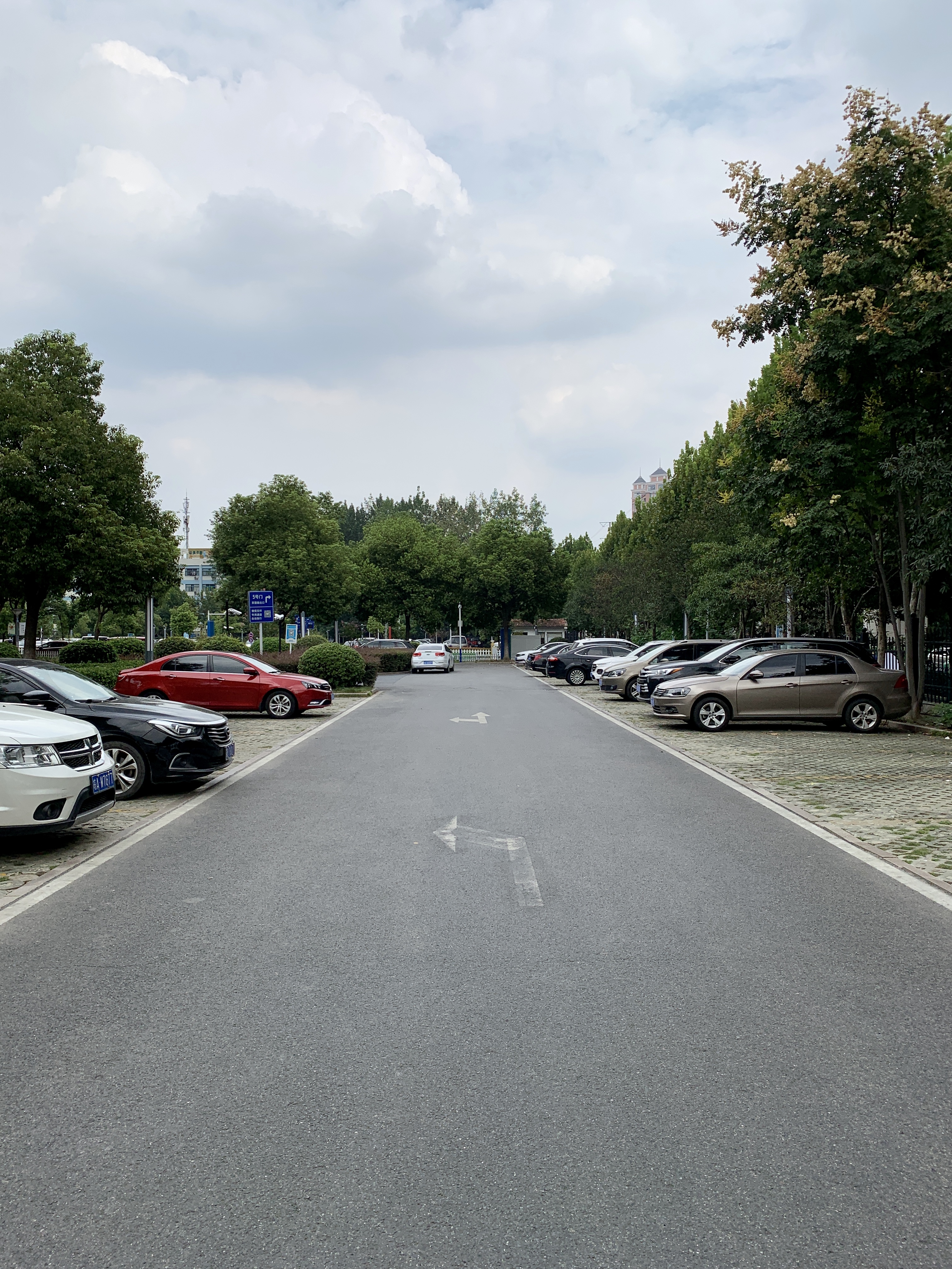 建筑实地调研报告,建筑实地调研