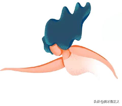 30块以内口红推荐,露华浓口红051和525哪个好看