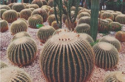 昆明适合拍照的景点有哪些,昆明大理周边旅游景点排名榜前十