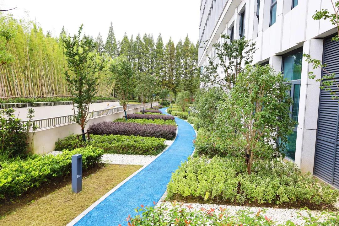 沪上“花园式”工地办公是怎样的体验?来看看这个白玉兰奖工程吧