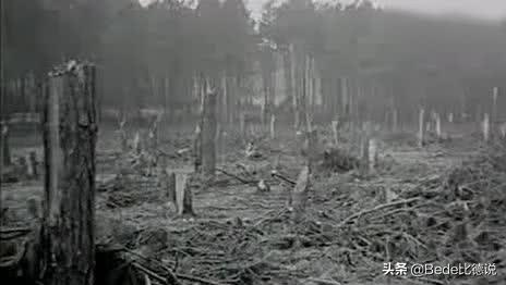 贵州空中怪车现在怎么样了,贵州ufo空中怪车事件真相