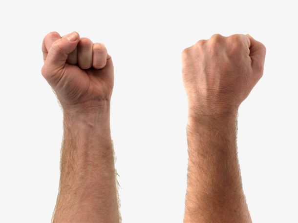 人身上的器官都有哪些,十个未来会消失的器官