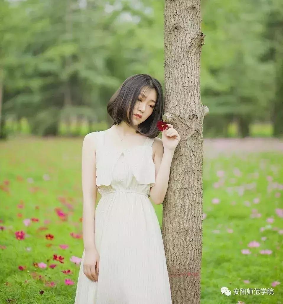 安阳师范学院考研礼包,考研牛人