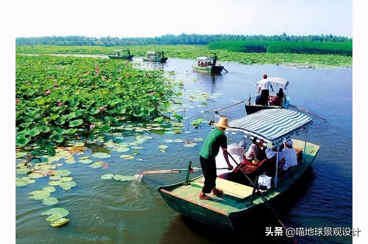 美丽乡村的盈利项目,美丽乡村项目的成功案例
