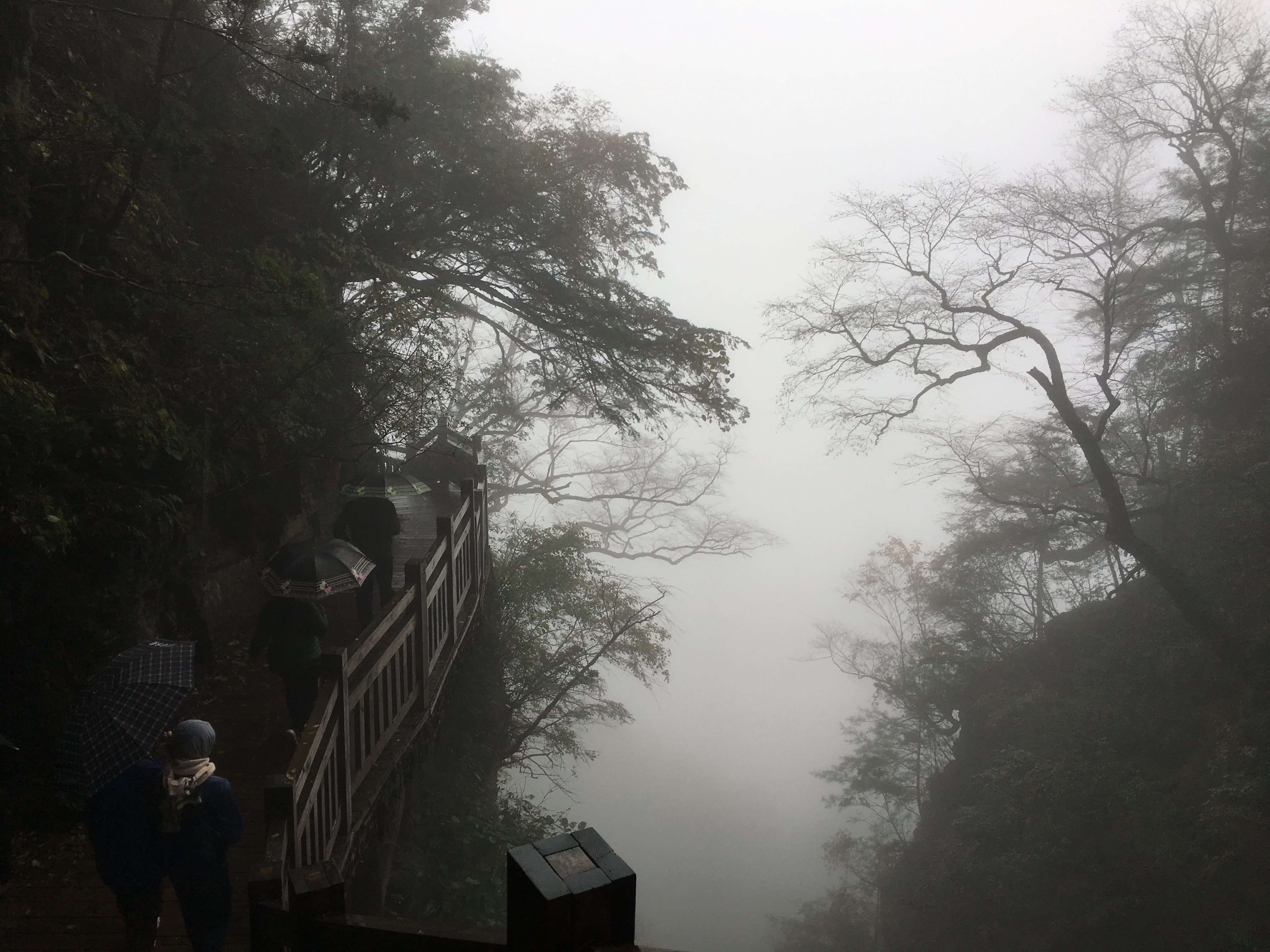 雨中神农架探秘之旅｜国庆节武汉至神农架自驾游攻略分享
