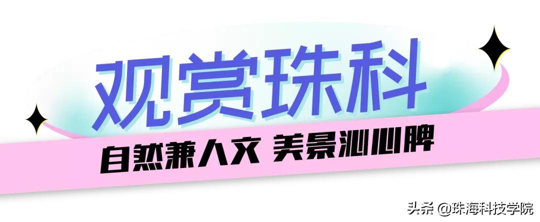 读一所校园环境和学习氛围全方位一流的大学是什么体验？