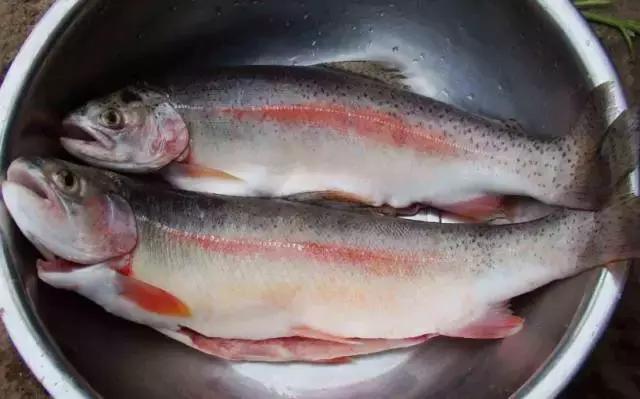 防城港怎么吃海鲜便宜不被坑,防城港干货海鲜有哪些