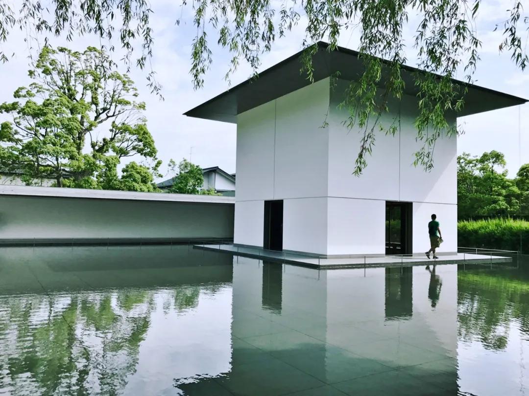 浣犺浣犱笉鎳傚懆鏉颁鸡姝岃瘝,浣犺浣犱笉鎳傚懆鏉颁鸡