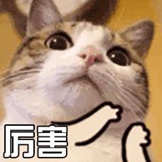 浙江一彩民喜中6663万是守号,彩民6+16守号十年中大奖