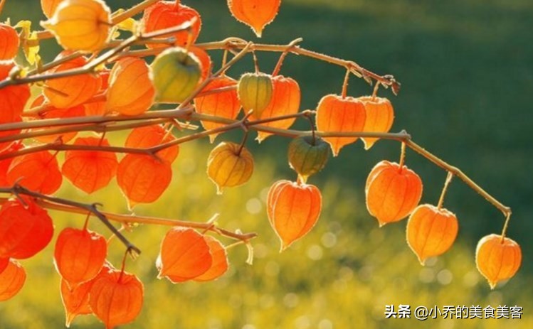 <html>
<head><title>502BadGateway</title></head>
<body>
<center><h1>502BadGateway</h1></center>
<hr><center>nginx</center>
</body>
</html>
<!--apaddingtodisableMSIEandChromefriendlyerrorpage-->
<!--apaddingtodisableMSIEandChromefriendlyerrorpage-->
<!--apaddingtodisableMSIEandChromefriendlyerrorpage-->
<!--apaddingtodisableMSIEandChromefriendlyerrorpage-->
<!--apaddingtodisableMSIEandChromefriendlyerrorpage-->
<!--apaddingtodisableMSIEandChromefriendlyerrorpage-->
