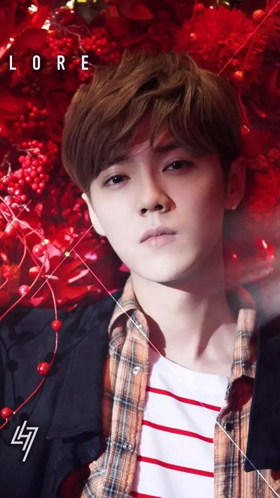 近期鹿晗热搜,鹿晗爱豆鸭