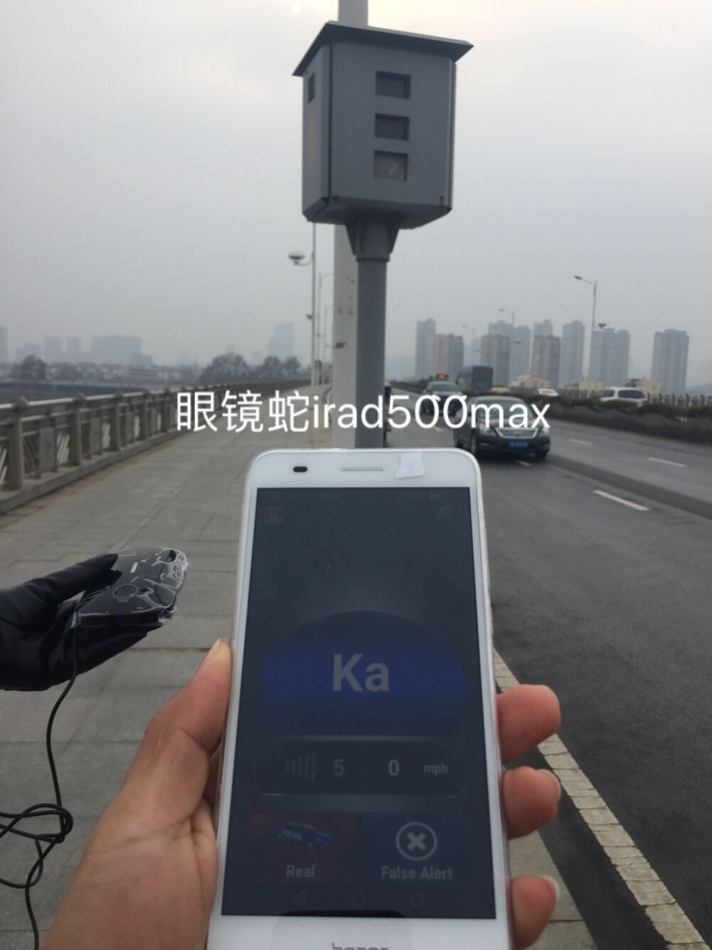 眼镜蛇和狗的大战,眼镜蛇狗