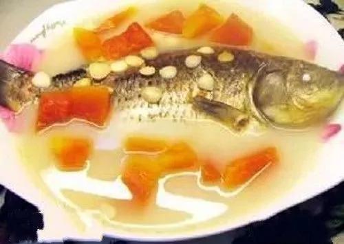 广西梧州最好的果园,梧州摘水果的地方