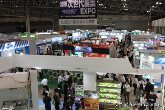 日本农业成功的主要经验,中国和日本农业差距50年