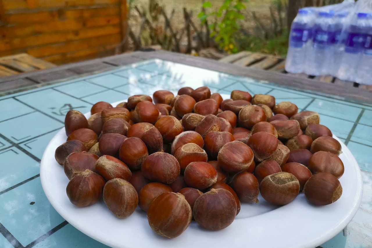 京东90分抵达田园度假区,住树屋,泡半山温泉,还有房车营地