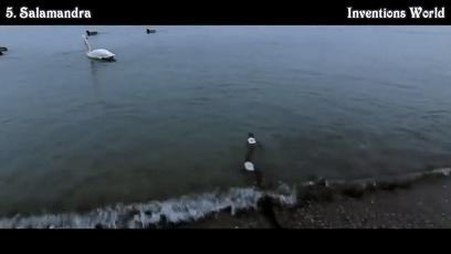 各种奇葩机器人,十大最有趣的机器人