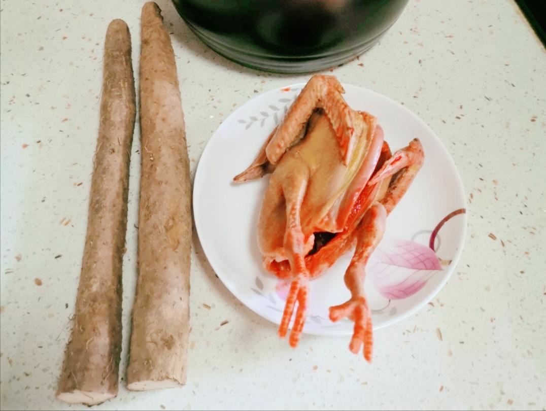 剖腹产喝鸽子汤用老鸽子还是乳鸽,炖鸽子汤的做法放香菜吗