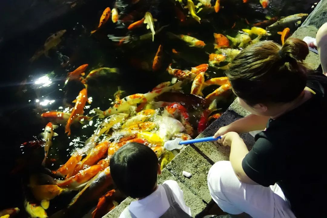 骂归骂，我还是爱逛崇安寺！因为我是无锡人