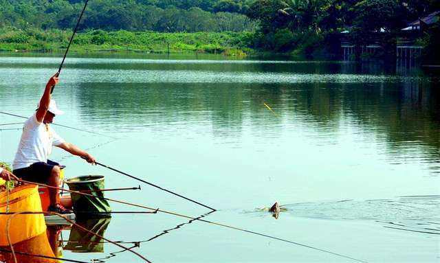 渔获青龙饵,野钓渔获