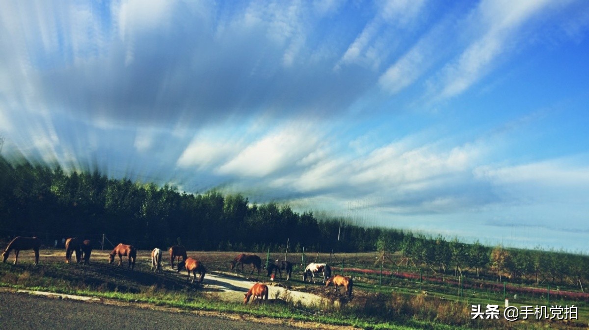 手机拍落日风景怎么拍出高级感,手机白天如何拍风景好看