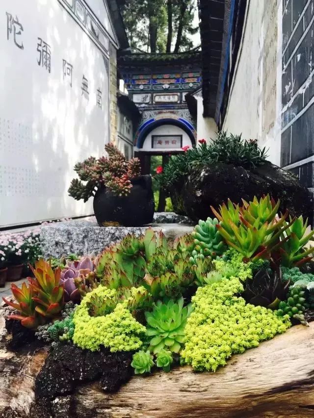 等一个人陪我去大理旅行,如果生活不如意不如一起去大理