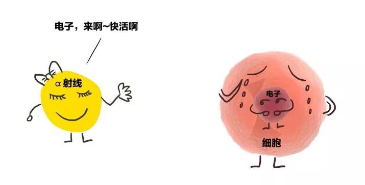 核辐射有多远距离才安全,核辐射有多危险