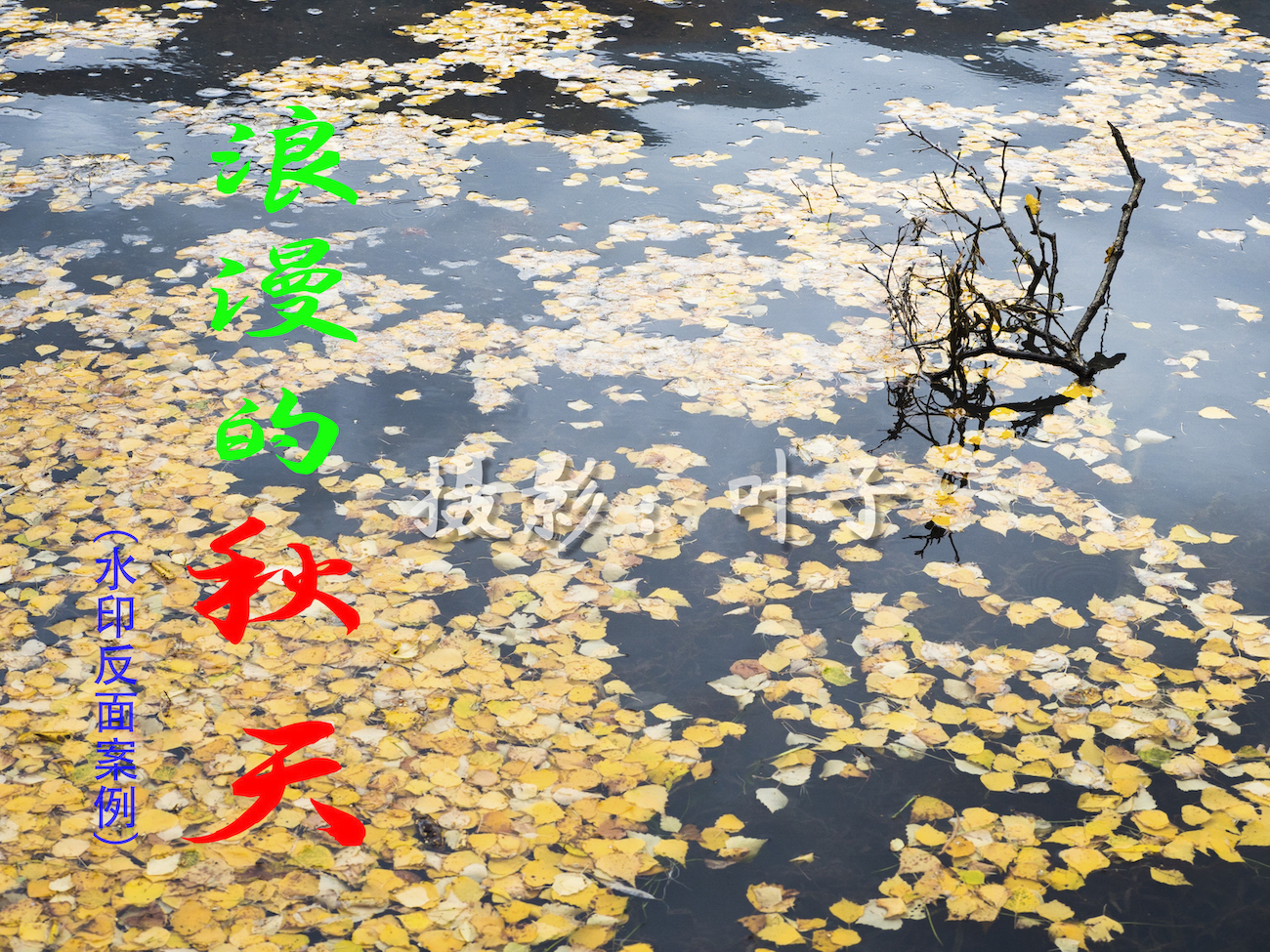 摄影照片水印教程,水印相机给照片加水印如何改时间