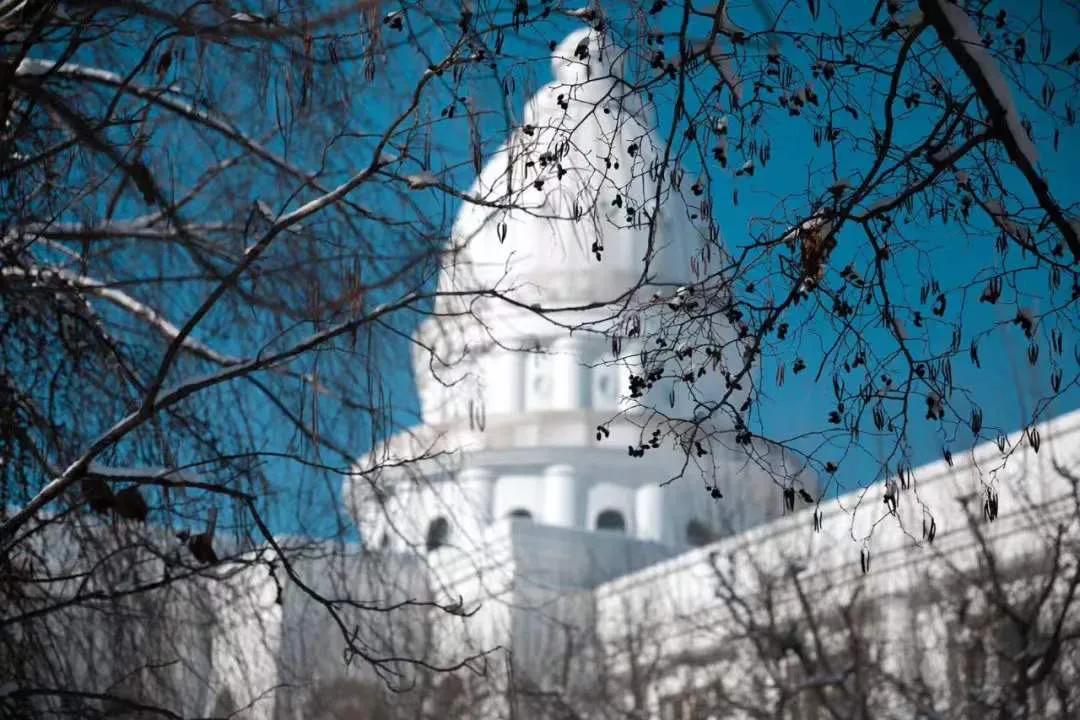 外面零下20℃，绿岛却沸腾了...