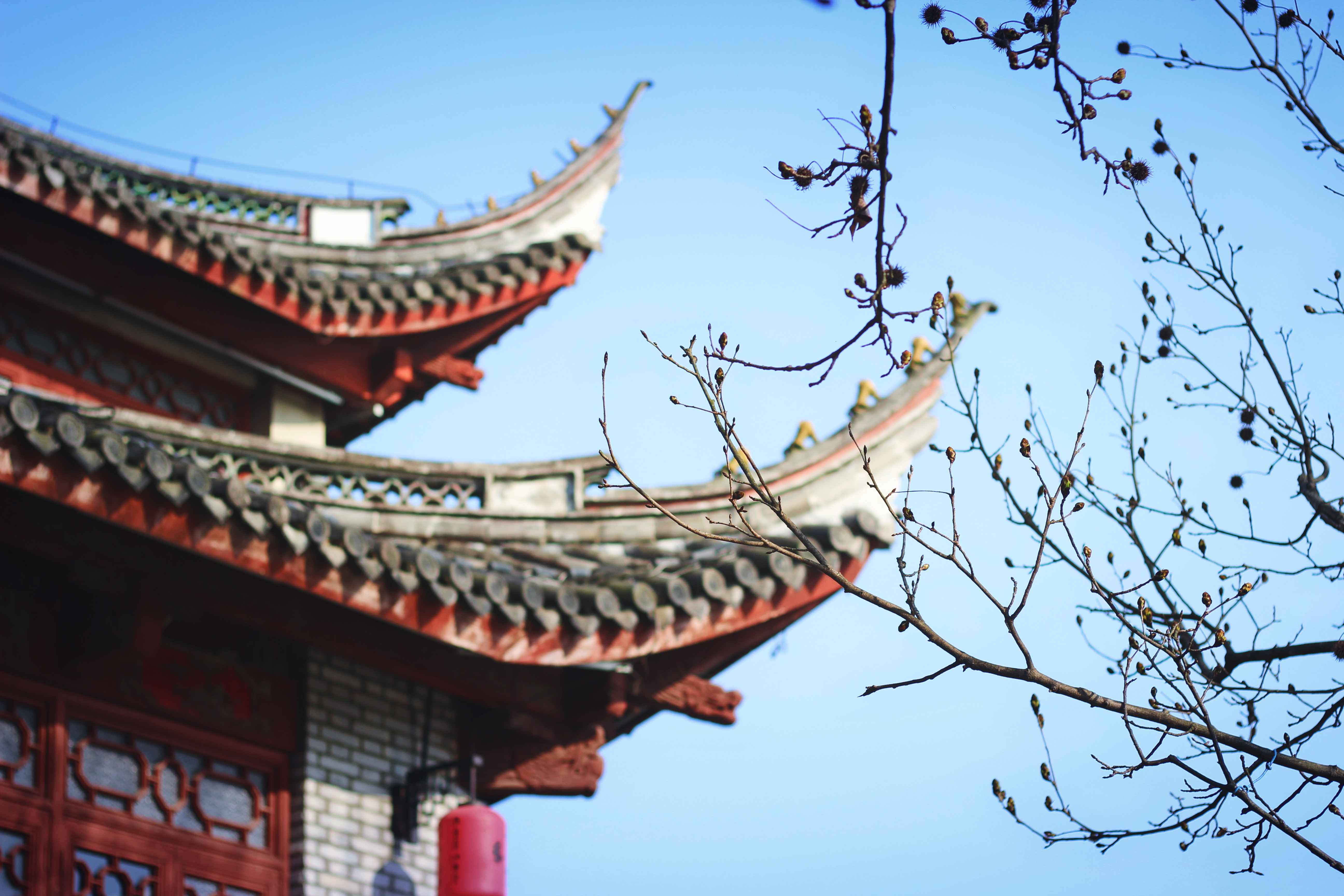 月字飞花令诗句集锦,飞花令月字诗句大全