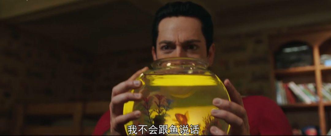 四月爆款推荐,四月爆款