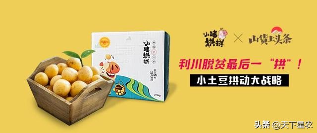 菠萝凤梨樱桃车厘子图,成都车厘子和樱桃的区别