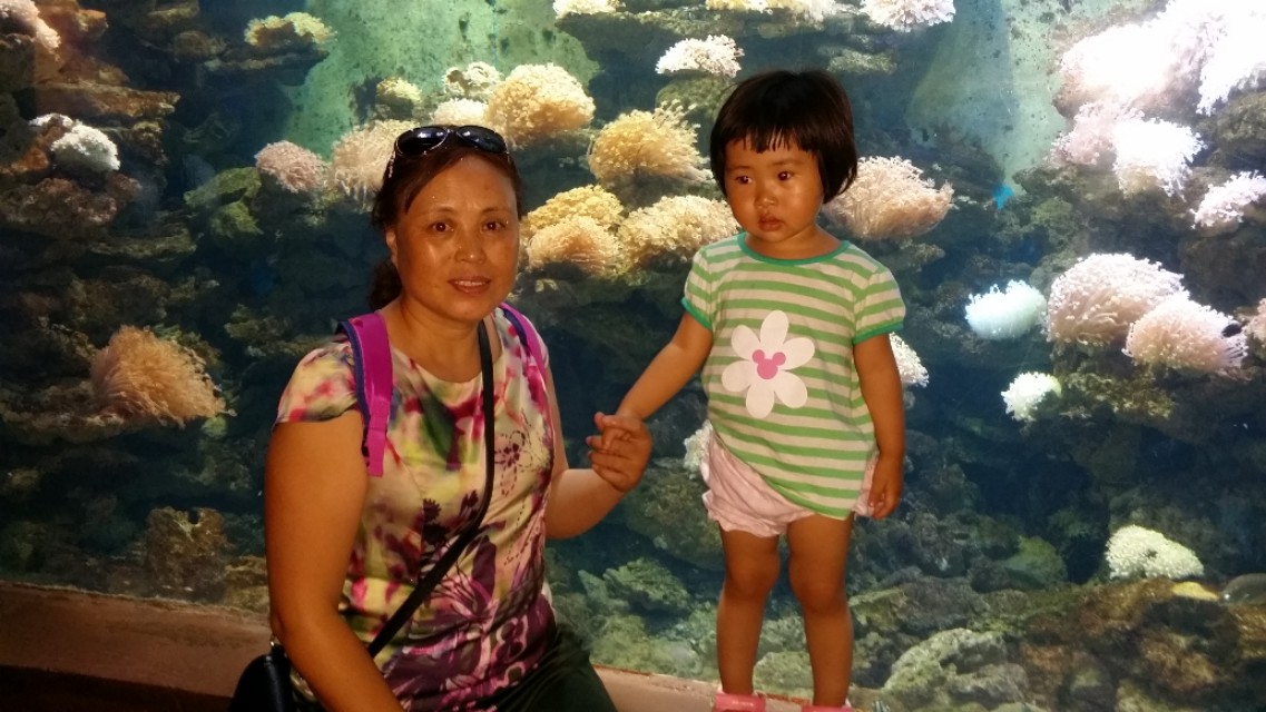 带着孙女去海边,奶奶带着小孙女在北海涠洲岛玩