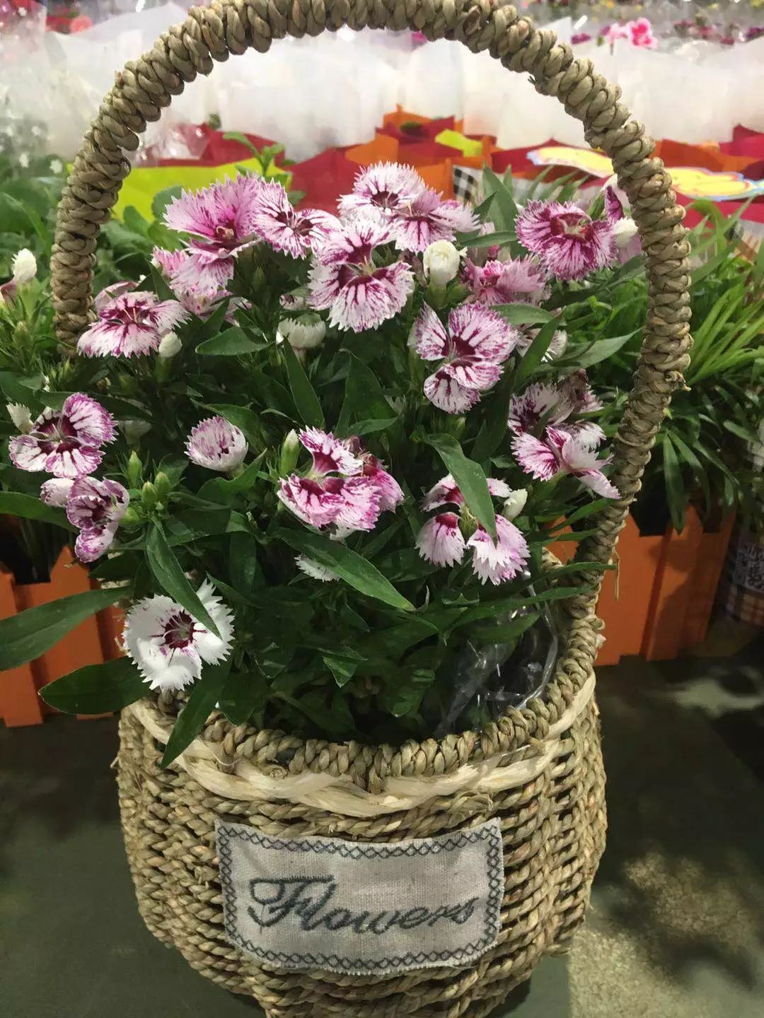 大连买花到哪里,大连网络买花花店