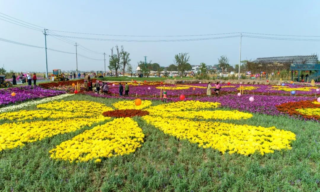 溧阳庆丰村怎么突然火了起来，答案或许就在这里