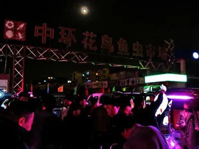 水族行业为什么这么难做,最近水族发展趋势