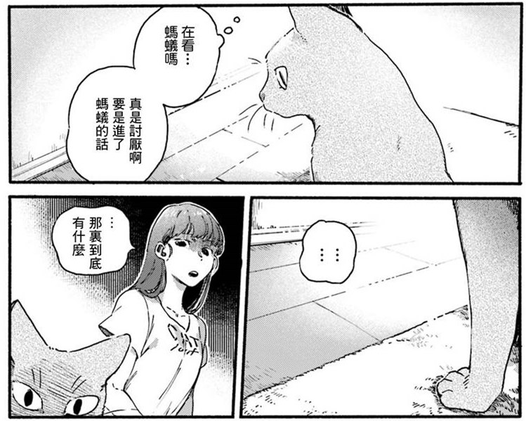 清新治愈！和3只猫一起生活的日子！又要骗我养猫！