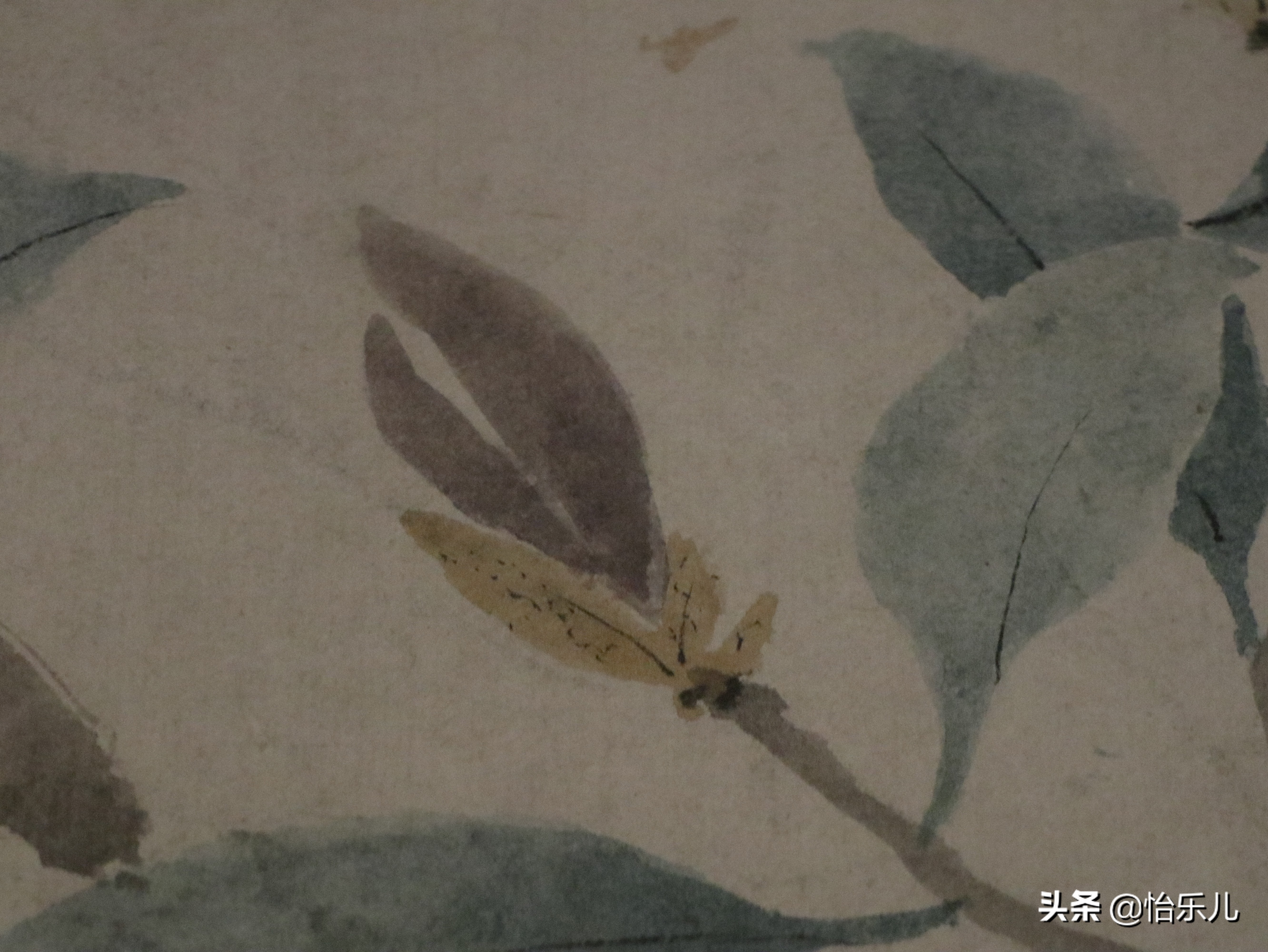 富贵吉祥平安如意哪个是上联,富贵平安寓意的花