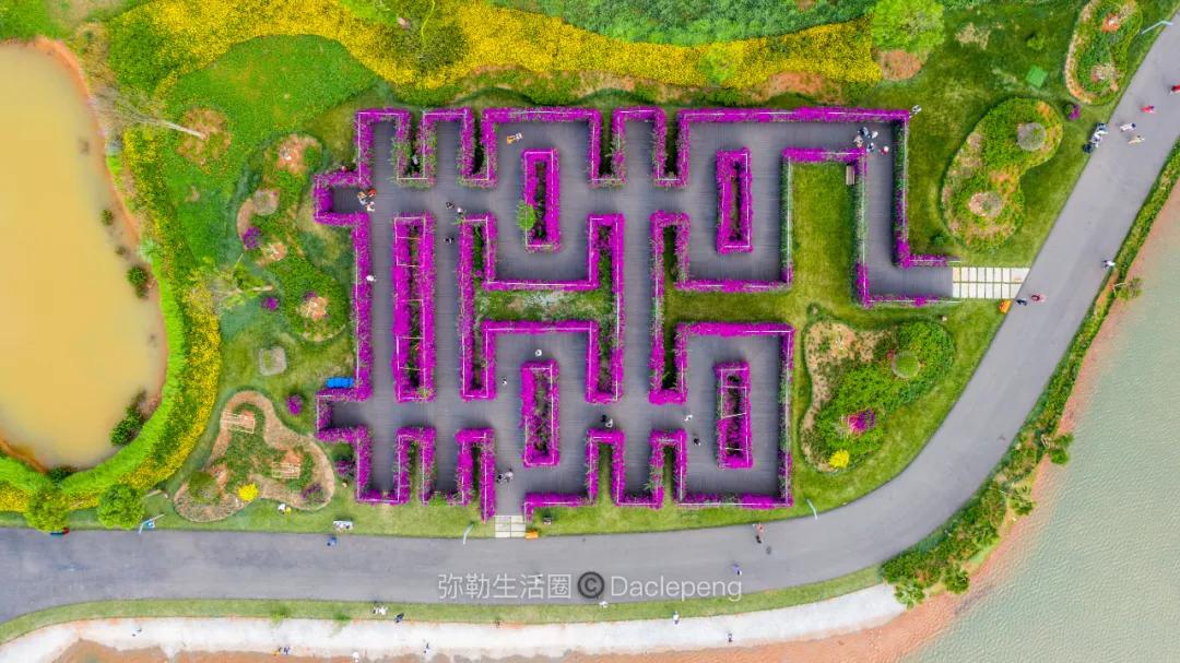 云南最美小镇图片,云南太平湖森林公园花海