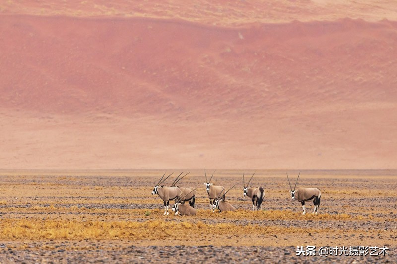 欣赏国际摄影大师作品,英国皇家天文摄影大赛